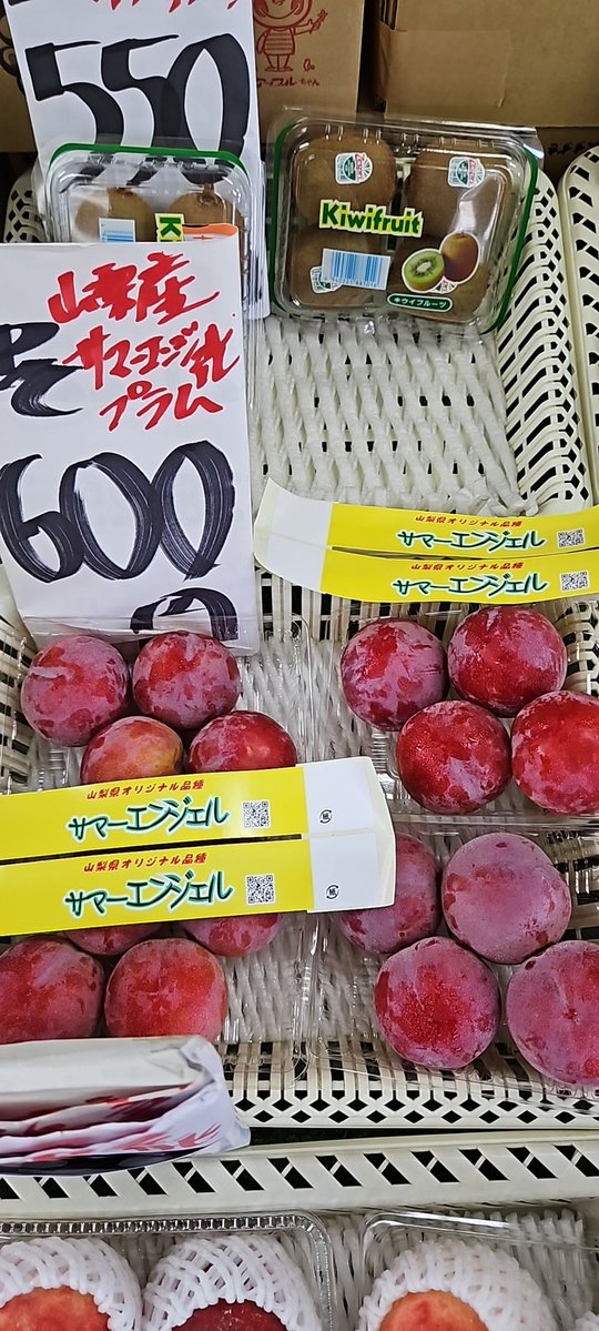 aibafruit's tweet photo. おはようございます😄
今日は気温が上がりそうですね😅
らいでん小玉スイカ🍉1個750円
南陽🍒(仁木町産)1pc750円
佐藤錦🍒(仁木町産)1pc550円
サマーエンジェルプラム(山梨県産)
1pc600円
甘い果物揃えてお待ちしております🤗
今日もよろしくお願いします🙇‍♂️⤵️ https://t.co/XIsjooraz1