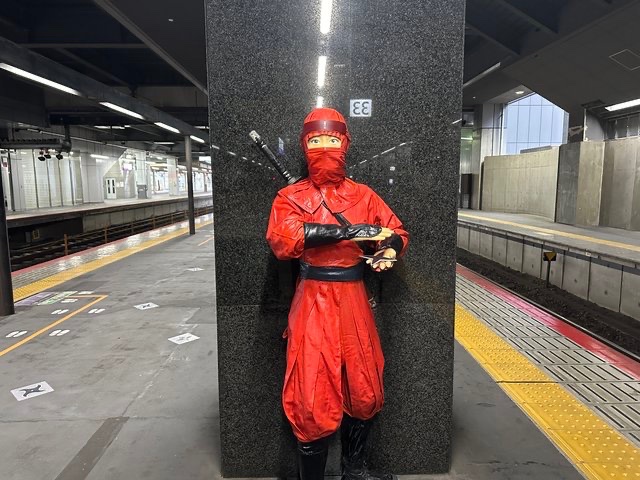 bozu_108's tweet photo. 京都駅使ってる人しか分からないこと選手権

最優秀賞
ここの蕎麦がけっこう美味い

金賞
空中径路という京都駅のガラス張部分のほぼ屋根部分の高さのとこに京都の街を無料で見渡しながら歩ける秘密の通路が存在する

入賞
33番線に忍者が居る

入賞
京都駅のホームは日本一長くて、0番ホームから30番ホームまで全長558mある
