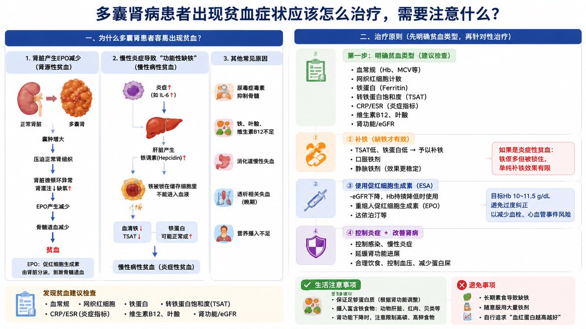 caiancheng's tweet photo. 囊肾病（PKD）患者出现贫血，大多是因为随着肾功能减退，肾脏分泌的促红细胞生成素（EPO）变少所致，临床上称为肾性贫血。
治疗多囊肾合并贫血，不能盲目像普通贫血那样只靠吃菠��、红枣或单纯补铁，而是需要一套系统、科学的方案。以下是主要的治疗方法和关键的注意事项：
核心治疗方法
通常需要根据医生的检查结果（如血红蛋白、铁蛋白等指标），采取以下联合治疗：