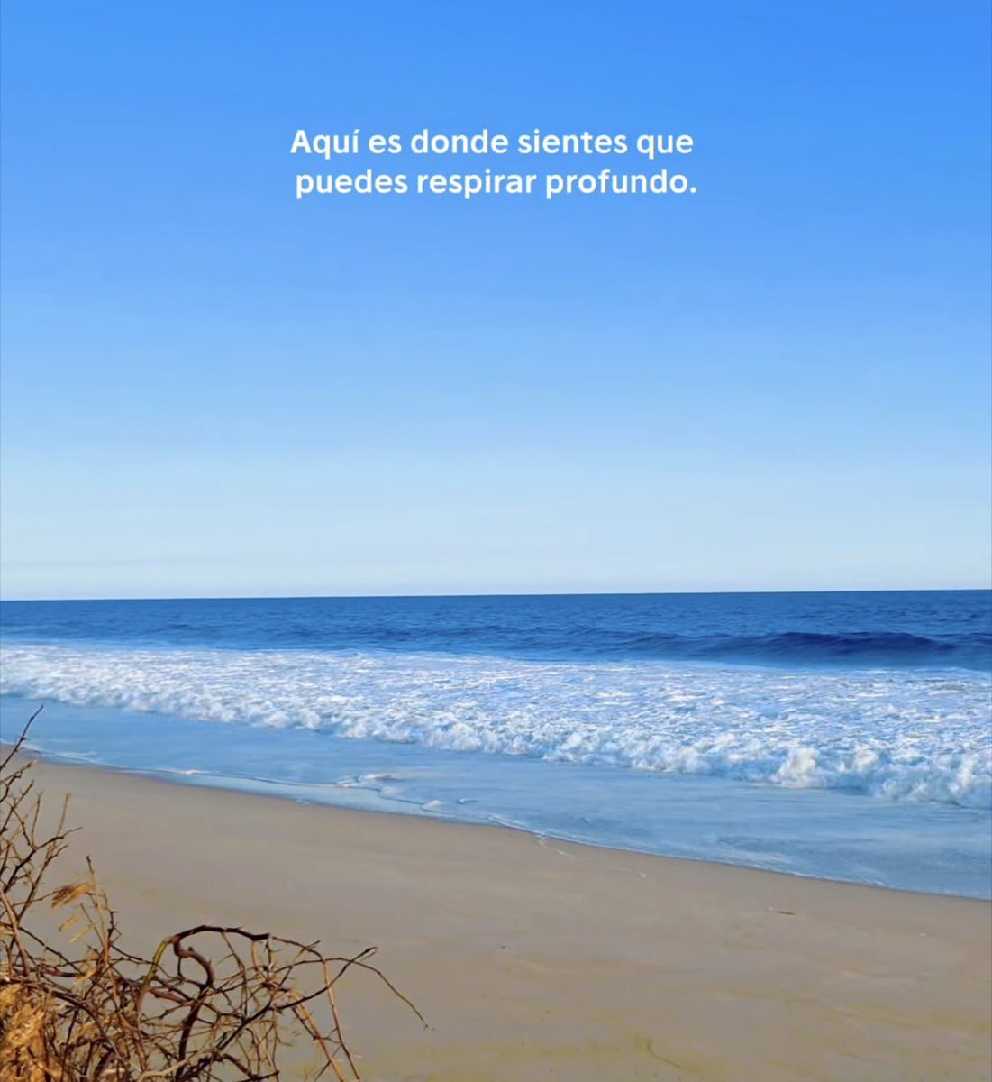 FraseSimple's tweet photo. https://t.co/Sjoj9SvMDt