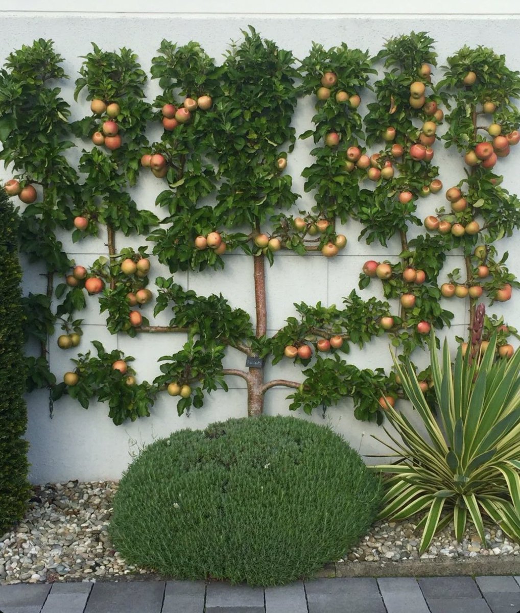 EvaLovesDesign's tweet photo. 🍊🍃 https://t.co/0kNrhHD0QD
