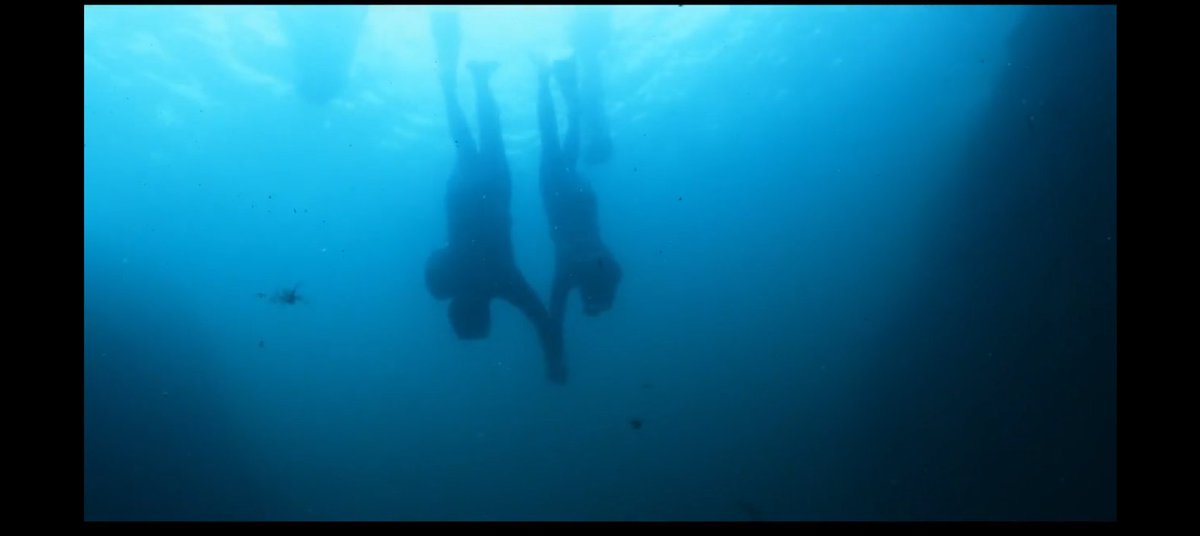 shelovenctxt's tweet photo. todas las escenas bajo el agua me parecen tan bonitas y relajantes
#AzureSpring #AzureSpringEp5 https://t.co/J2WJ1euHDs