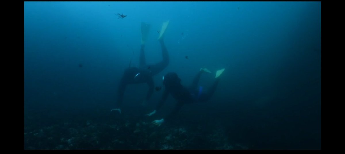 shelovenctxt's tweet photo. todas las escenas bajo el agua me parecen tan bonitas y relajantes
#AzureSpring #AzureSpringEp5 https://t.co/J2WJ1euHDs