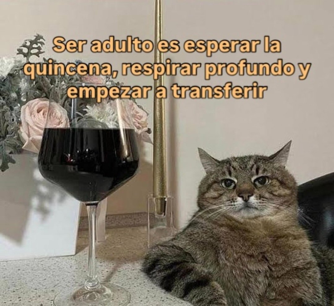 FraseSimple's tweet photo. https://t.co/1qGrgNIdY7