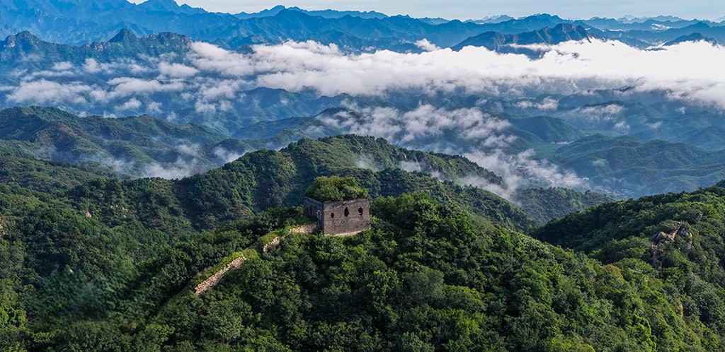 ZHULIN968's tweet photo. Ancient Great Wall tower standing amid endless green mountains, sea of clouds rolling over layered ridges. Where history melts into wild natural beauty in northern China.
#GreatWall #ChinaLandscape #NatureAndHistory https://t.co/3miQzKWmoU
