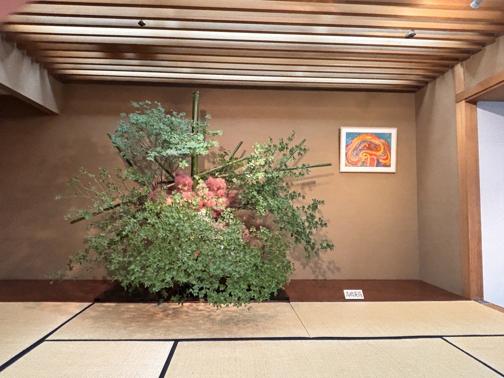 ikeru_chan's tweet photo. 日本間の作品をご紹介します
草月会館の日本間では、季節のいけばな作品を展示しております。

2026年7月6日（月）〜7月17日（金）
作家：髙橋英萠

花材：どうだんつつじ、けむりの木、かすみそう、竹（丸竹、割竹）、流木
額：勅使河原蒼風『富士』 https://t.co/H9jYJprgKP