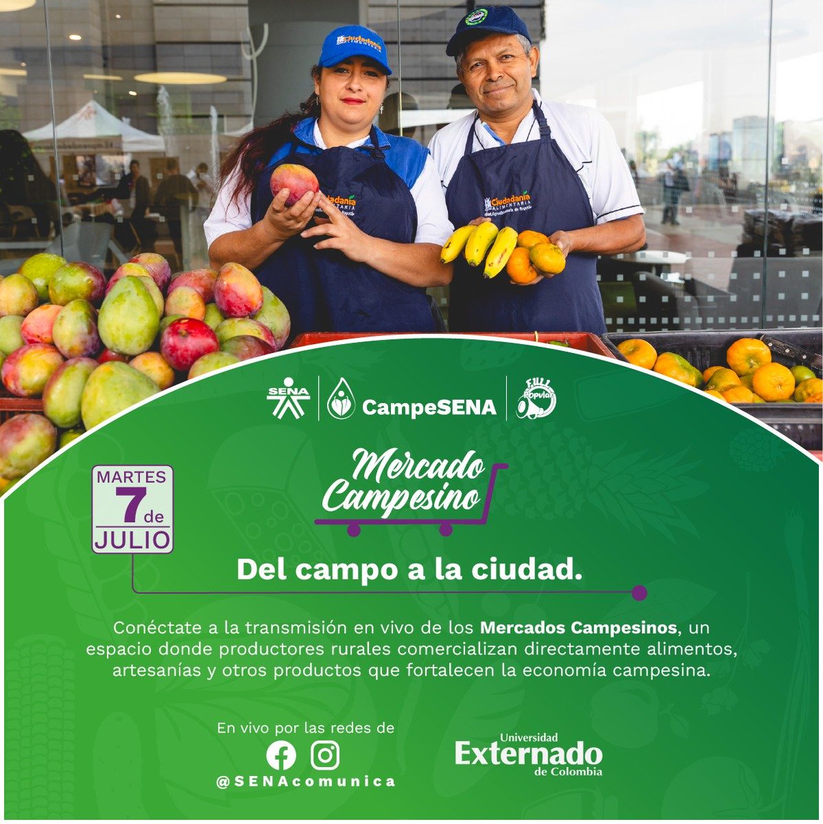 SENAComunica's tweet photo. 🌾🥭 Del campo a la ciudad, el trabajo de nuestros campesinos hace la diferencia.
Cada cosecha representa esfuerzo, dedicación y el compromiso de quienes cultivan los alimentos que llegan a nuestra mesa. En el Mercado Campesino apoyamos a los productores rurales, impulsando la comercialización directa y fortaleciendo la economía campesina.

💚 Consumir local es reconocer el valor del campo colombiano.
#CampeSENA