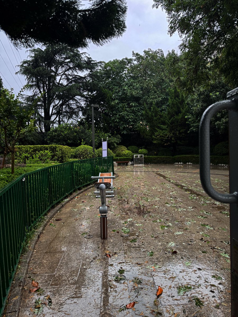 yigenxiaoshetou's tweet photo. 没有爱做的下雨天   好浪费  #青岛 https://t.co/XjlsAHqEfR