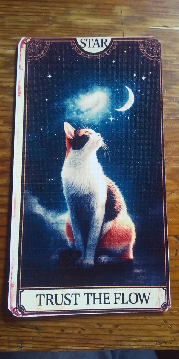 yurisora_com's tweet photo. 朝ねこ占い🐱

猫タロット｜今日の1枚は⭐星の導き

キーワードは⇒ 直感・宇宙意識・導き

🍀牡羊座で月と海王星が合。

ひらめきが未来を動かす日。

「なんとなく気になる」を大切に。
直感が新しい道を教えてくれます✨

#朝ねこ占い #今日のメッセージ https://t.co/uKUR3rQujr