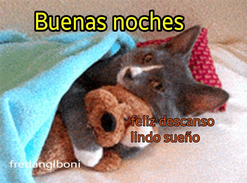 coolfunnnn's tweet photo. buenas nochess!!! https://t.co/ooV0cnzp7i