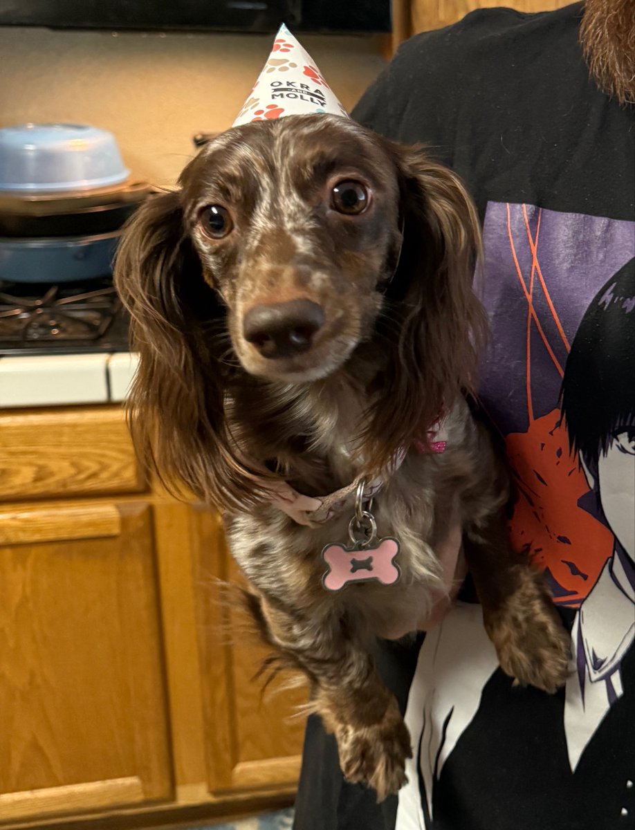iitsRiddim's tweet photo. Happy 4th birthday Delilah https://t.co/Ic3oxgRNjP