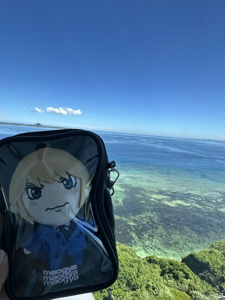 n_ran0830's tweet photo. 沖縄最終日〜🌊

昨日はジャングリアに潜入したので
ちびマオくんはお留守番でした❣️

今日も一緒に旅して
関東へ帰ります🥰💖 https://t.co/M0jnFgZ5Sv