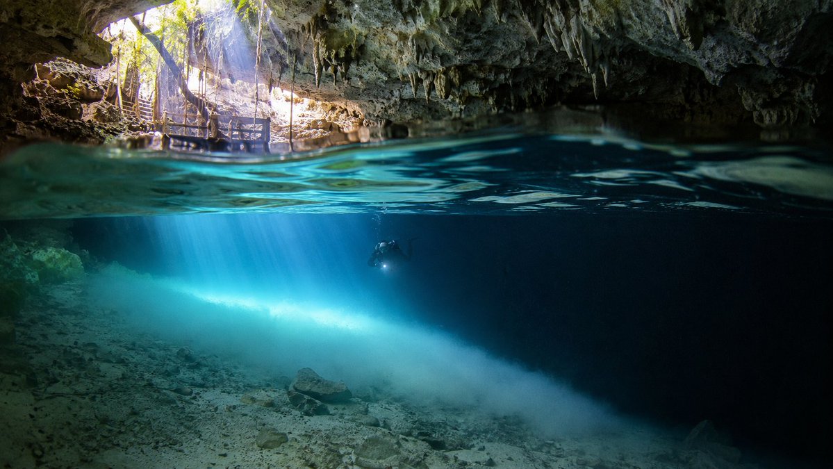 LzPosse's tweet photo. Cenotes are the COOLEST!  When I was in Mexico with my family we went to this cenote that was way off the beaten path and then spent hours with our masks, snorkels and fins swimming in the crystal clear water.

But the coolest part was doing breath hold dives as far as we dared down deep to the pitch black entrance of a cave that connected to a labyrinth of other tunnels that went on for miles.  

It was like coming face to face with some sort of time portal machine left by a race of long dead aliens that, if you swam just a bit closer to the pitch black darkness, you'd suddenly be time portal-ed into the Delta Quadrant.  Creepy and wondrous at the same time!