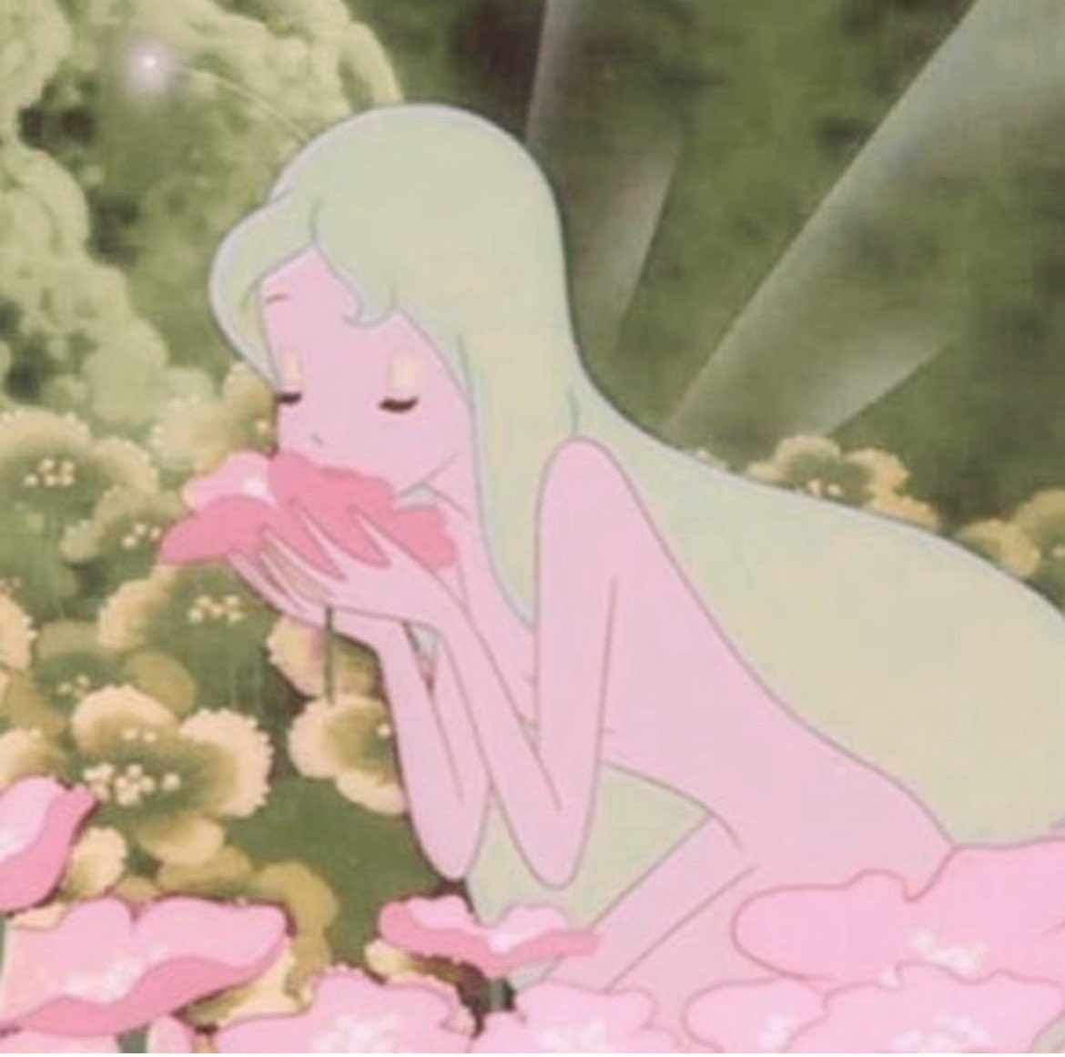 alliharvard's tweet photo. @horse_member https://t.co/mEZxlSQACZ