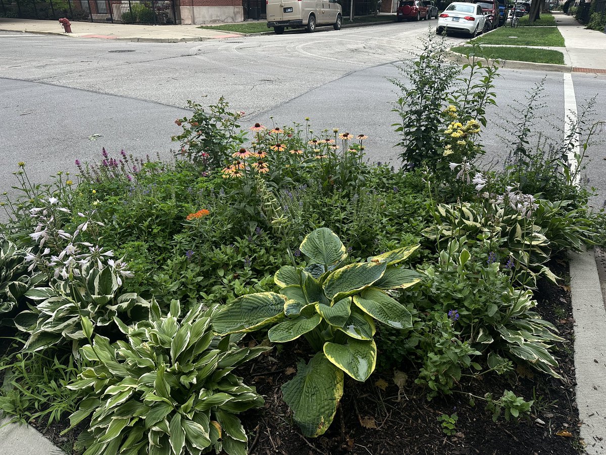 kicktragedy's tweet photo. Sidewalk landscaping of Chicago https://t.co/JAgo4328uZ