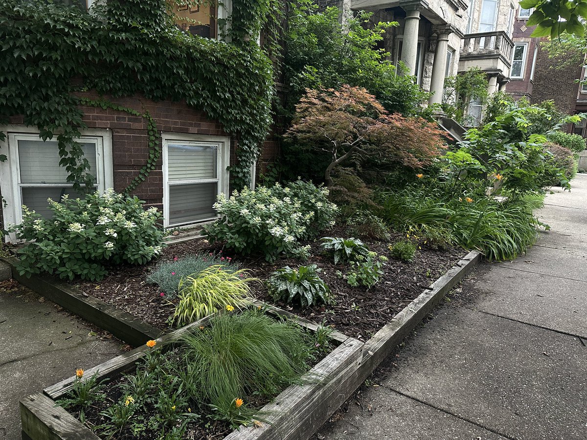 kicktragedy's tweet photo. Sidewalk landscaping of Chicago https://t.co/JAgo4328uZ