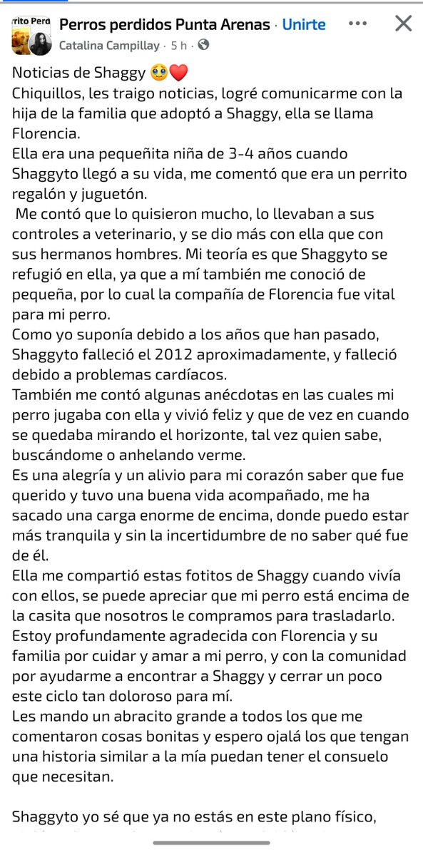 porcelaincami's tweet photo. La chica del perrito de Punta Arenas supo de él 😭, se contactó con ella la otra dueña y le contó que tan amado fue. Ahora se cerrará la herida 🩷😭 https://t.co/c1ICdGuSNA