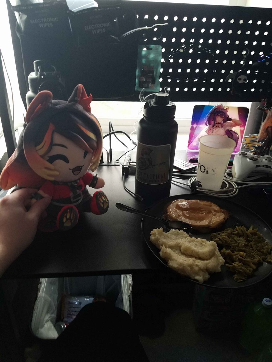 OkamiThorac's tweet photo. Day 45 of holding Plush Sinder's hand till @SinderVTuber notices, with a thanksgiving-esque meal! https://t.co/Dwo1jouN3r