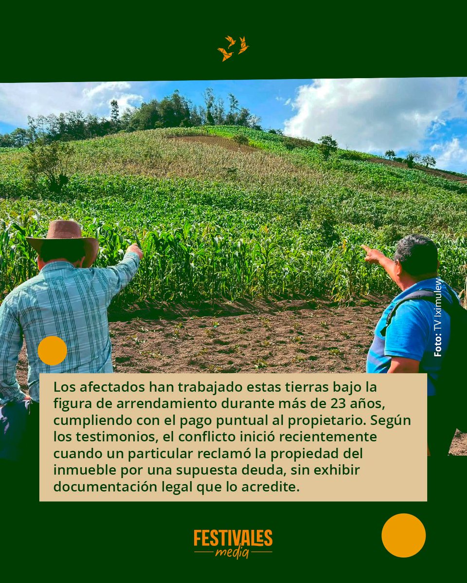 festivalesgt's tweet photo. ⚠️🌽 Más de 25 familias se quedan sin sustento tras ataque agrícola con drones.

Comunitarios de San Miguel Dueñas denuncian la pérdida total de sus siembras de maíz, frijol, camote y chipilín luego de que un particular presuntamente utilizara drones para rociarles químicos y quemar sus tierras en San Andrés Itzapa.