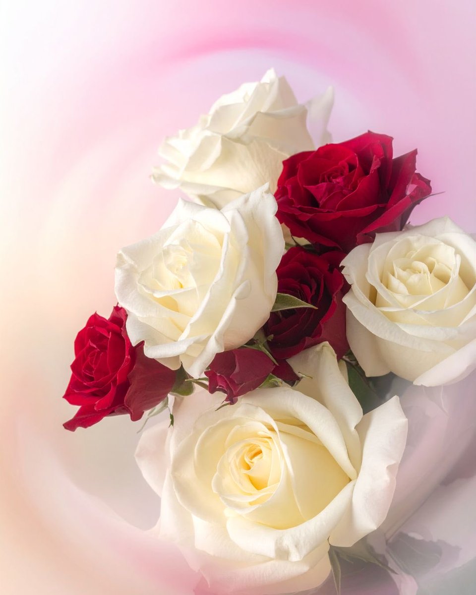 tomo_s369's tweet photo. @mahiro_kangoshi I only respect and thank those who are involved in medical professions and medical institutions, no matter what the situation is!
Thank you very much🙏
#看護師 #Nurse
#医療職 #MedicalProfession
#敬意 #Respect
#感謝 #Thankyou https://t.co/LZmuF6gMA0