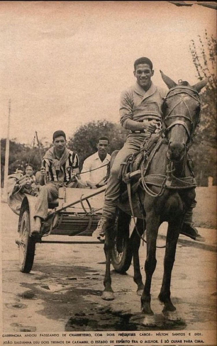 tadeumiracema's tweet photo. Anos 50...

Botafogo treinando em Caxambu-MG, em 1957, sob o comando técnico de João Saldanha, e os craques Garrincha, Nilton Santos e Didi em um momento de descontração. https://t.co/hzQG8jCnBM
