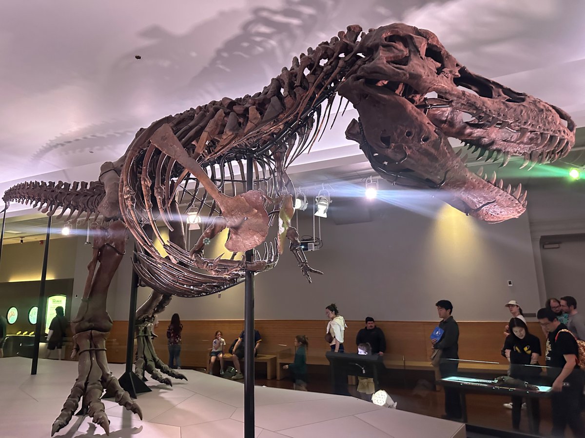PresidentsVisit's tweet photo. Dino content at the Field Museum: I loved it! 🏛️🦖🦕🐘🪨💎 #Chicago #FieldMuseum #travelswithjoe #summerofjoe2026 https://t.co/3Uao1VcSS5