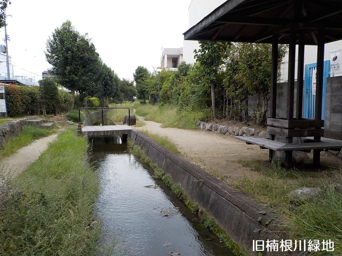 neyakyogikaiPR's tweet photo. 大阪府寝屋川水系改修工営所です。寝屋川流域内には、水辺に親しめる親水施設が多数あります。写真は、東大阪市川俣１丁目の長瀬川遊歩公園と八尾市楠根町4丁目の旧楠根川緑地です。これから暑くなる季節に向けて、是非せせらぎで涼しんでください。#親水 #緑地 #遊歩道 #せせらぎ https://t.co/9Ba8jANelg