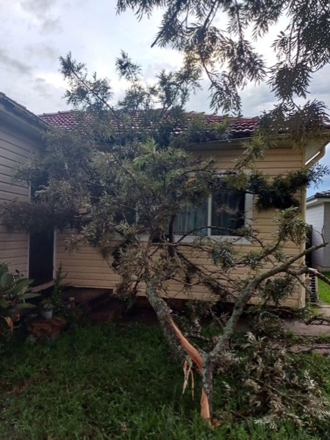 TreeProblemsNSW's tweet photo. Blacktown City Council denied a request to remove a tree. The owner was concerned about the safety of his property and tenants. But they insisted in saying no to remove the tree.  Then branches fell and damaged the property.
https://t.co/M1x7OBuDAK https://t.co/qrCZvXk12t