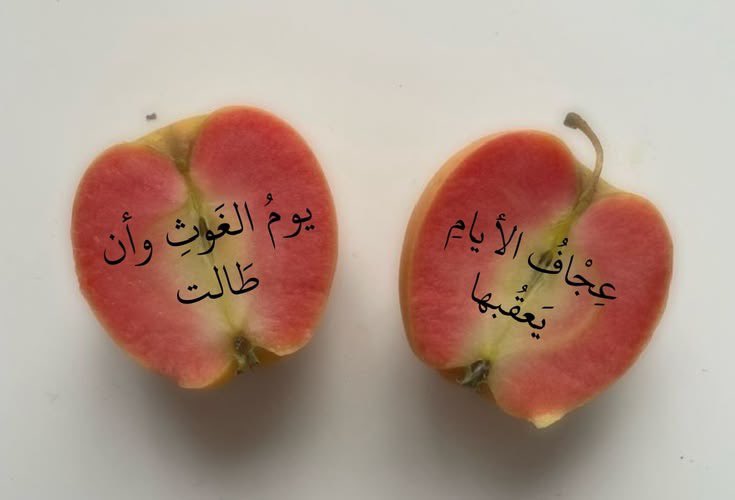 aizlce's tweet photo. https://t.co/svtIPvkMlu