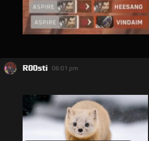 TUNGTUNGDYNASTY's tweet photo. @holidayormo @roostiow average faceit chatroom https://t.co/5lpInhob0l