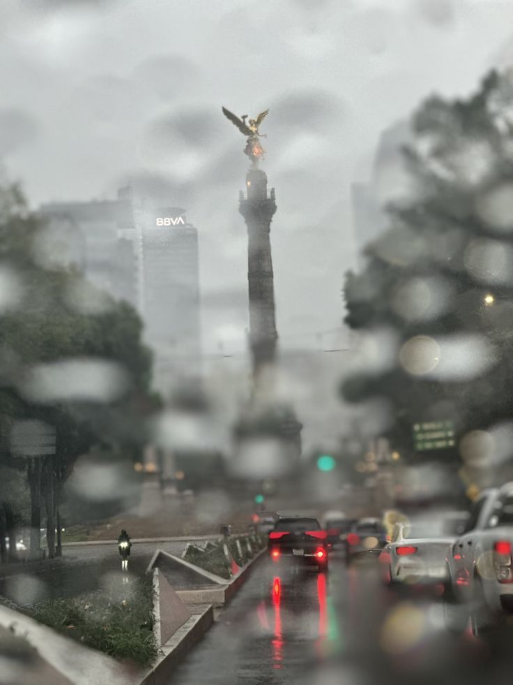 NazeerYousaf6's tweet photo. Mexico City, washed in rain. 🌧️🇲🇽 https://t.co/GD3CoFuyYS