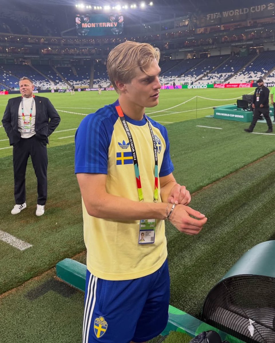 indiehamlet's tweet photo. sweden was at the world cup for 2 min but his girlfriend was having a ball taking these every game https://t.co/eGhCfHiZac
