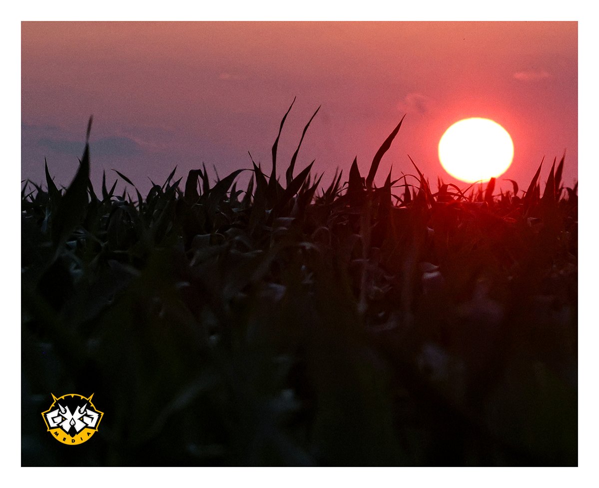 NBGX3Media's tweet photo. A SUNDAY NIGHT DRIVE pt. 3
7-5-26 A Sunday evening sunset produces a red-colored visage in the sky as it dips below a field of corn atop St. Mary's Ridge in rural Cashton Sunday evening.
#gx3mediasundaydrives
Nate Beier/ https://t.co/r4EpRlxCNb 2026 https://t.co/buDeMIYemE