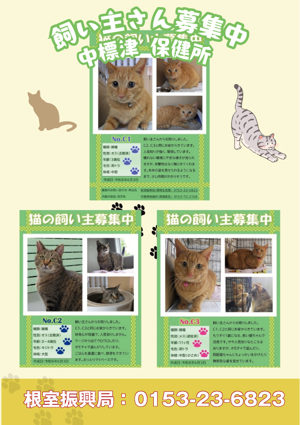 shipponokai's tweet photo. #保健所情報　全道157頭/飼主探しノート全道240頭
中標津保健所では、猫3頭が新しい家族との出会いを待っています。同じ家からきた猫たちでが血縁関係はありません。温かいご理解ある飼い主さんを募集しています。
根室振興局：0153-23-6823
https://t.co/61xJIUYMC3
#拡散希望
#飼い主探しノート https://t.co/lgDNDa9Qbg