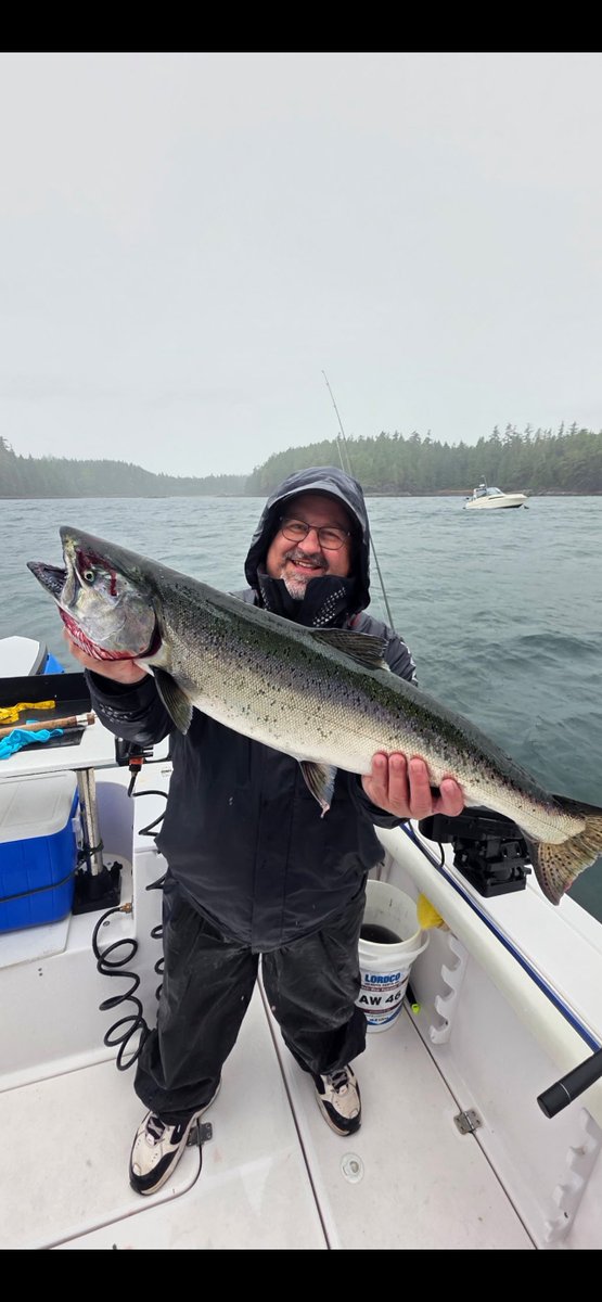 hpcharters's tweet photo. Another nice looking haul of Ucluelet Salmon
I dont think these guys know or care that its raining!
#explorebc #fishingcharters #bcfishing #gofishbc #fishingucluelet @TourismUcluelet #barkleysound @Fishingwithrod #slamoncharter #halibutcharter #uclueletcharters https://t.co/mseO3eCz4c