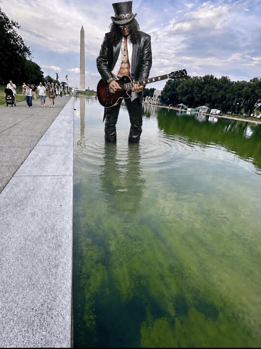 therightswrong's tweet photo. @MacFarlaneNews The case Hearn will fall apart quicker than Trump's Reflecting Pool project.

Besides, we know the pool was slashed. https://t.co/w2XFnwjkUD