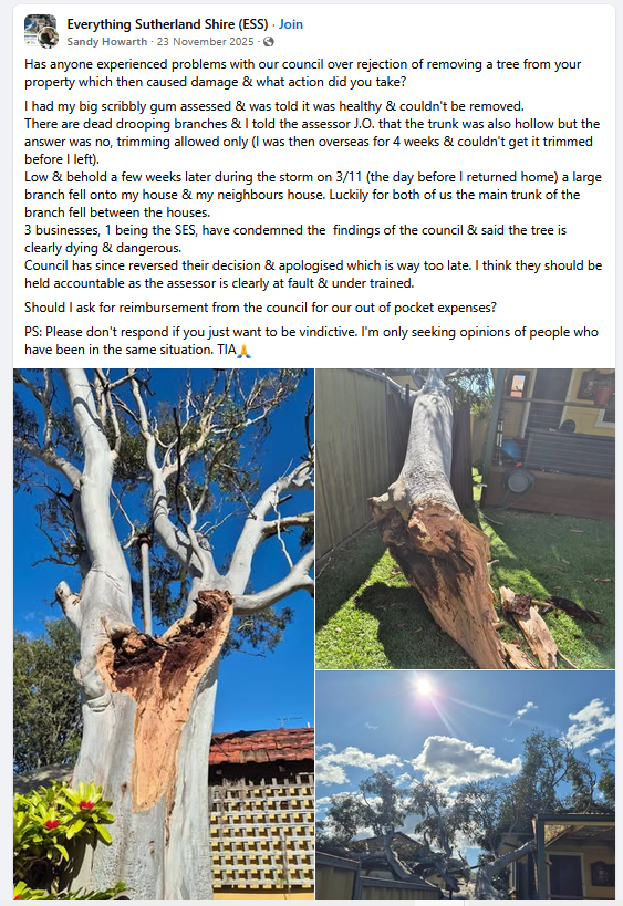 TreeProblemsNSW's tweet photo. Has anyone experienced problems with Sutherland shire council over rejection of removing a tree from your property which then caused damage?
I think they should be held accountable as the assessor is clearly at fault &amp; under-trained.

https://t.co/Xdiq8u4SNx https://t.co/Jo2MqGo3XX