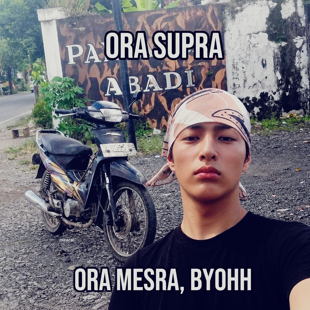𖹭 ֶָ֢ 𐌌iracai ‹𝟹 tweet media