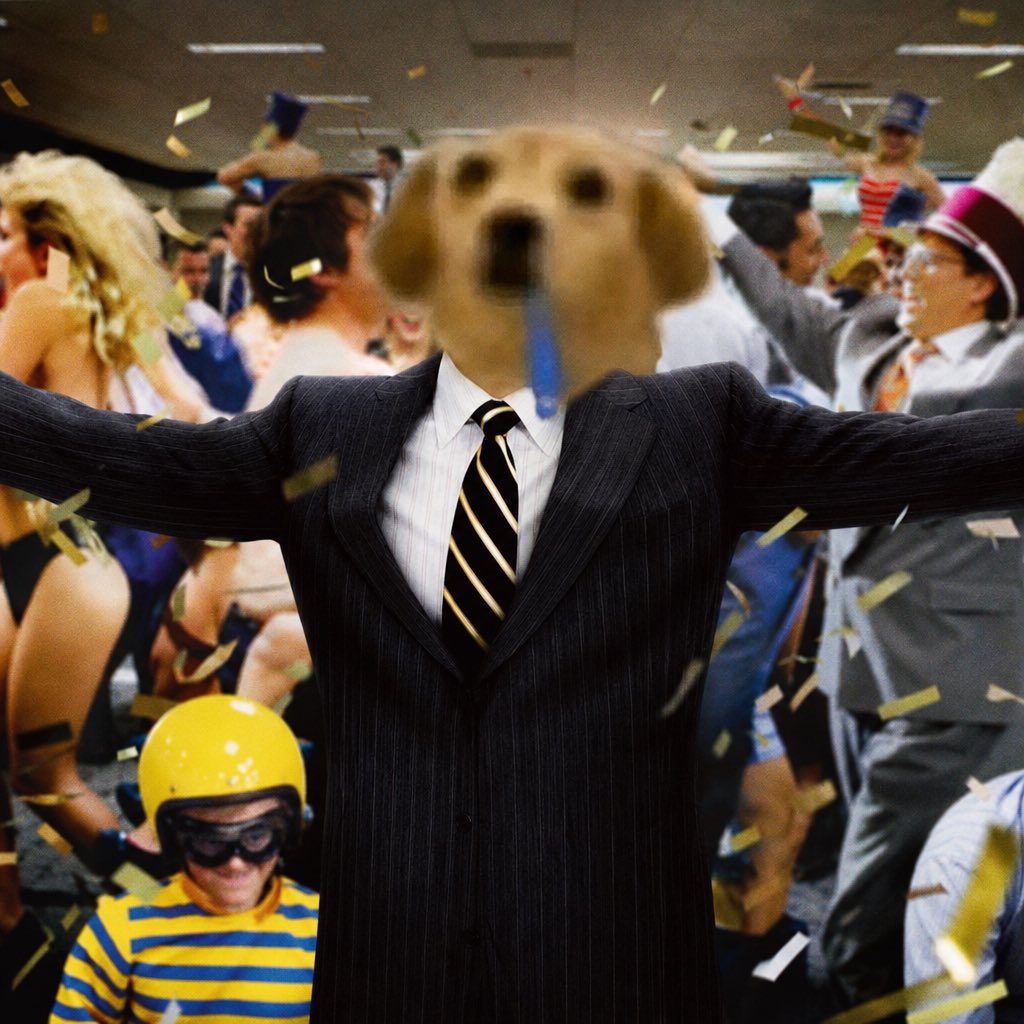 drooling dog tweet media