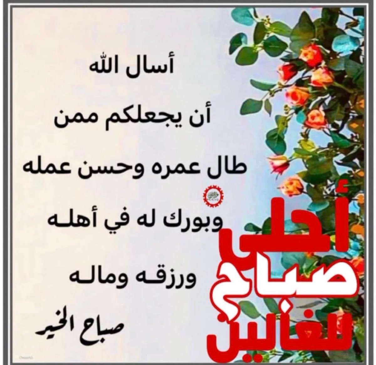 alalmy87990550's tweet photo. ⁧#اسطول_زعماء_تويتر⁩
⁧#مملكة_ندو_للدعم⁩
 ⁧#حور_العين_للدعم⁩
⁧#مملكه_الماسه_للدعم⁩
⁧#نبض_الوناسة_للدعم⁩

        ☺️💐صباحيات عالمية💐😊 
      👇🏼🤲🏻آمين يارب العالمين 🤲🏻👇🏼 https://t.co/GkARhXHvKj