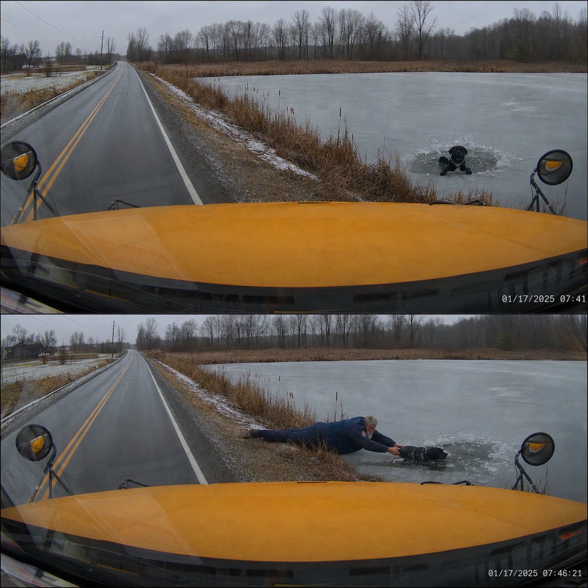 Mr_Husky1's tweet photo. School bus driver was fired after leaving students on the bus to save a dog drowning in a frozen lake.

A school bus driver was carefully driving through an icy road when he noticed a dark shape moving near what looked like a pile of snow beside the road.

At first, he kept going. His priority was the children on the bus, and the road was too dangerous to lose focus.

But as he got closer, he realized it wasn’t snow. It was a frozen lake. And the dark figure was a dog struggling in the freezing water, barely keeping its head above the ice.

The kids saw it too and started to cry, begging him to help. The driver pulled over, told every student to stay seated and never leave the bus, then ran straight toward the lake and into the water without even stopping to remove his phone or wallet.

He broke through the edge of the ice, reached the dog, and pulled it out before it went into shock.

By the time he got back on the bus, soaking wet and shaken, the kids were cheering like they had just watched a superhero.

But his phone was ruined, and the route was now over an hour late.

When the school finally reached him, parents were already upset, asking why their children had not arrived on time. He explained what happened, but the district said he had left students unattended and fired him for negligence.

Then the parents heard the full story.

A school board meeting was called, and the same parents who were worried about the delay stood up for him. They said the children were never in danger, and every kid on that bus came home talking about the man who saved a life.

Not only was he brought back to work…

The school honored him as a hero, because he didn’t just drive them to school, he showed them what courage looks like.