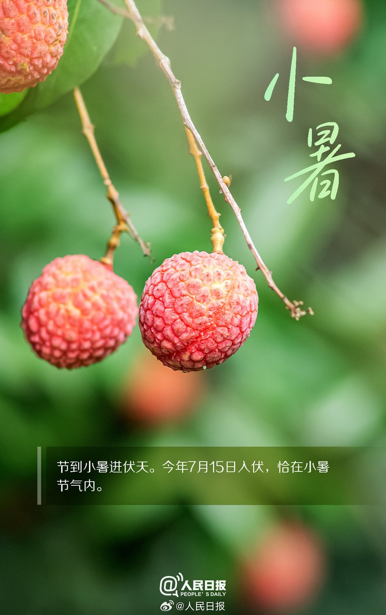 PDChinese's tweet photo. 【今日迎小暑】①北京時間7月7日9時57分，迎來小暑節氣。②“小暑大暑，上蒸下煮”。小暑時節，中國大部分地區進入炎熱季節。③2026年7月15日入伏，恰在小暑節氣內。④天氣炎熱，注意防暑降溫。 https://t.co/zirtQGZbFS