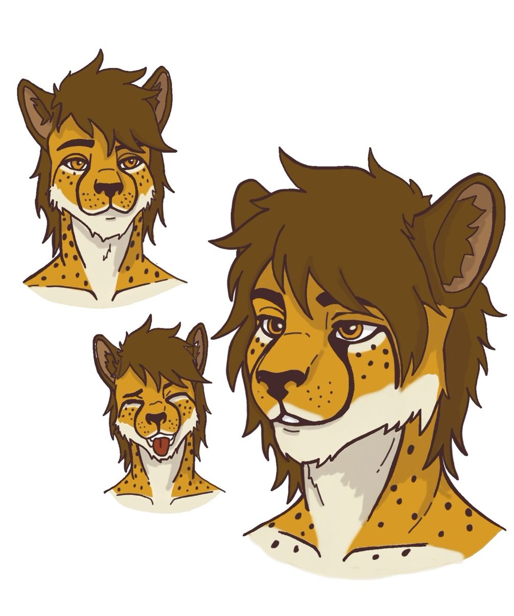 Bullch33tos's tweet photo. Fursona face study, trying to get his design right https://t.co/hJ6AIxjIGC