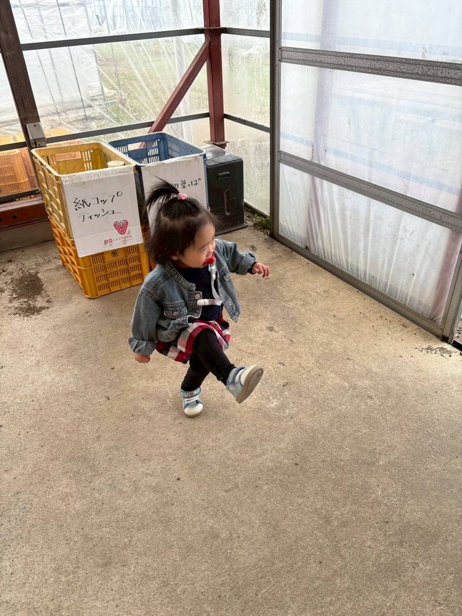 spoon_sakura36's tweet photo. うちの子2歳だからー！！ https://t.co/b6NzNWGqhe