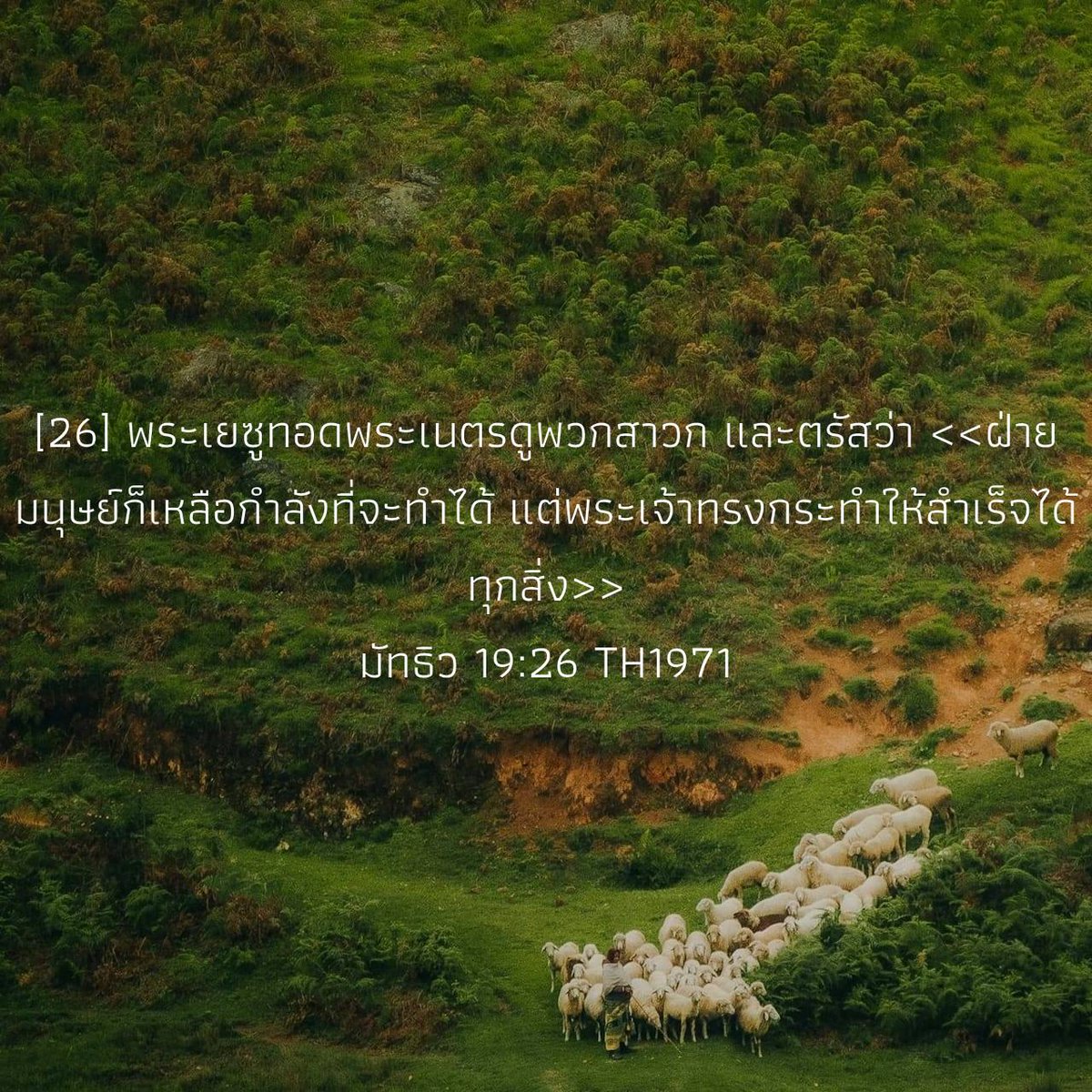 giwhankim2's tweet photo. มัทธิว 19:26 TH1971
[26] พระเยซูทอดพระเนตรดูพวกสาวก และตรัสว่า <<ฝ่ายมนุษย์ก็เหลือกำลังที่จะทำได้ แต่พระเจ้าทรงกระทำให้สำเร็จได้ทุกสิ่ง>> 

https://t.co/OMaPMLwln8 https://t.co/N8hBW3Xm2G