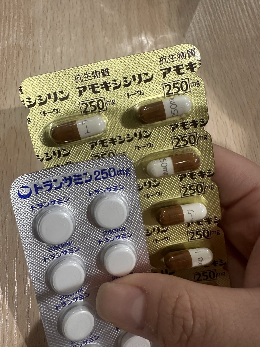 beachan11's tweet photo. あまりマイナスなことばかり書きたくないなと思ったが、記録として！

何日か前からももちゃん血尿。
超音波検査で膀胱の横になにやら嫌なものがあり、膀胱上皮内癌疑いのため、尿を精密検査に出しました、検査待ち。

とりあえず今は止血剤と、抗生剤処方してもらいました💊 https://t.co/HLJOttitY6