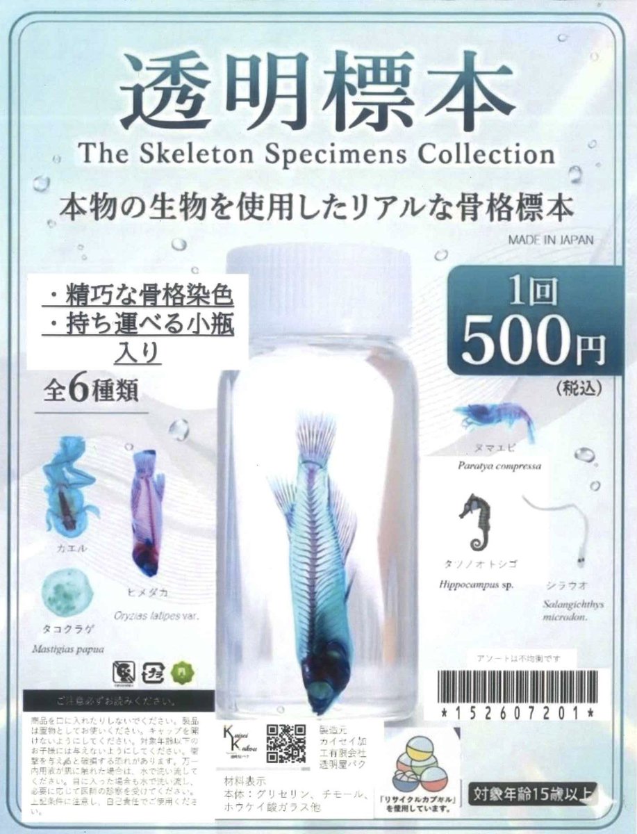 ♡🎀♡🎀♡本日の入荷♡🎀♡🎀♡🎀 ✓『生物×宝石』3 ✓CASIO ウォッチ