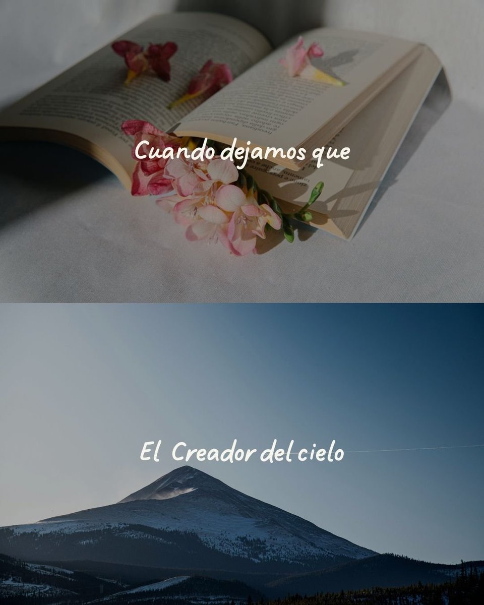 __jdailyvlog's tweet photo. Amén amén 🙏🏼🫂🙇🏽‍♂️🥺❤️‍🔥👑
 #MiDios #EsBueno #MiDiosTeAma #MiDiosTeVe https://t.co/XmqLb0fycm