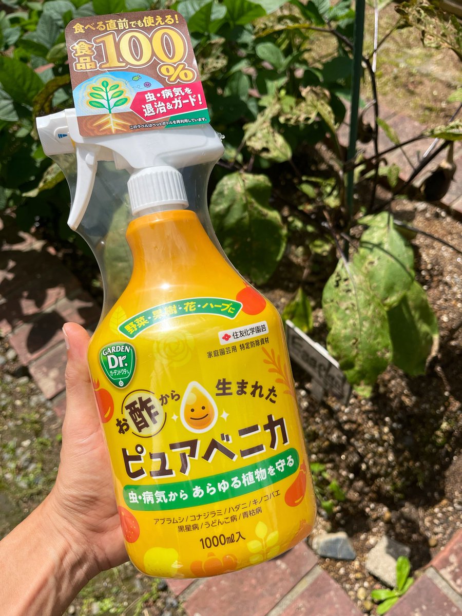 無農薬にこだわる意識高いことしてたわけじゃないし、虫たちの意見も