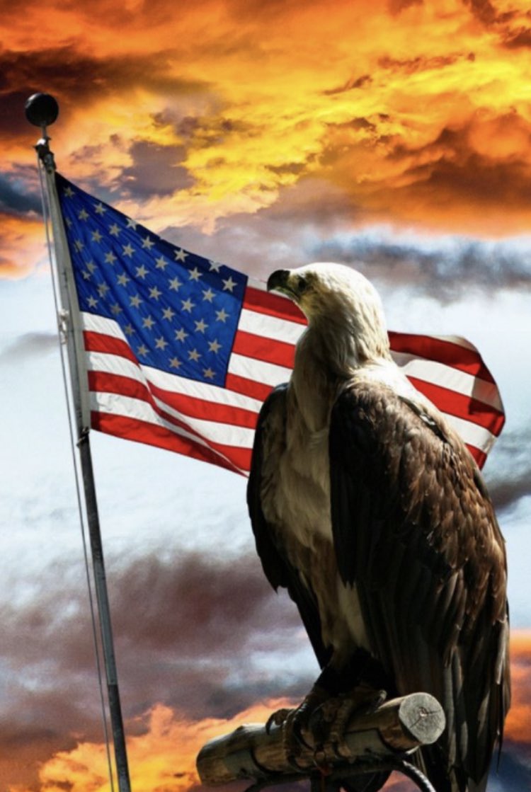 GodandCountryy's tweet photo. We are One Nation Under God 🇺🇸🇺🇸🇺🇸 https://t.co/Ft3NU9M4Hk